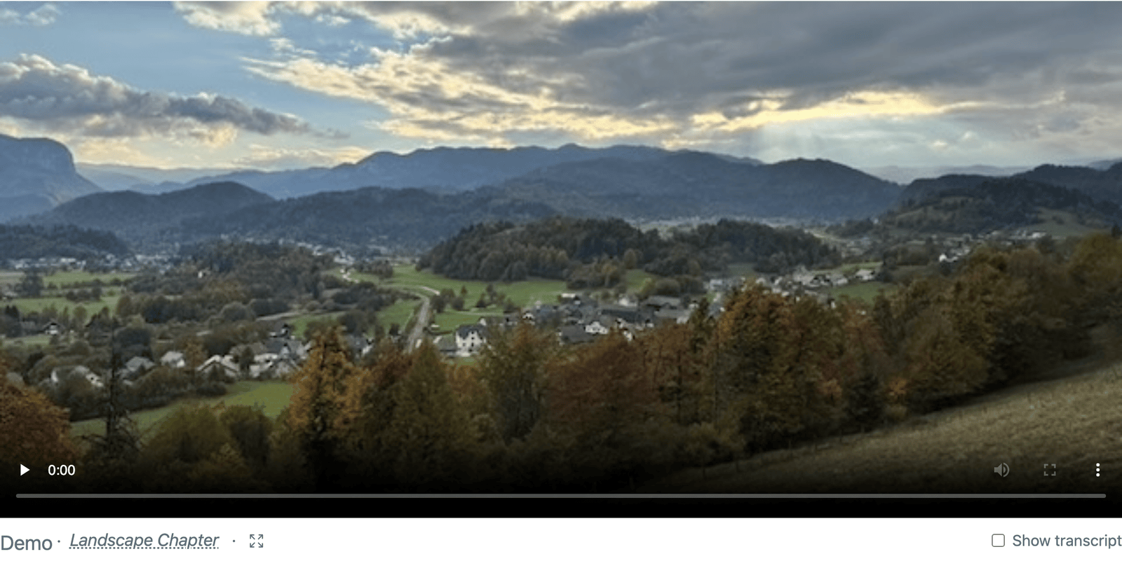 An embedded video player showing a landscape poster frame, with a chapter link and a transcript toggle under it
